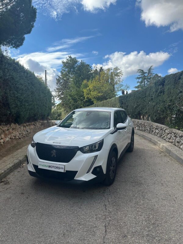 parte delantera peugeot