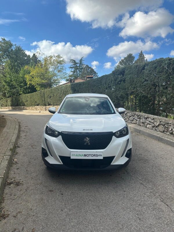 parte delantera peugeot