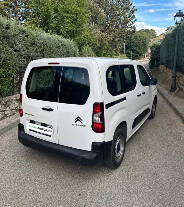 parte trasera citroen