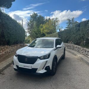 Peugeot 2008 Active 1.5BlueHDi 110Cv