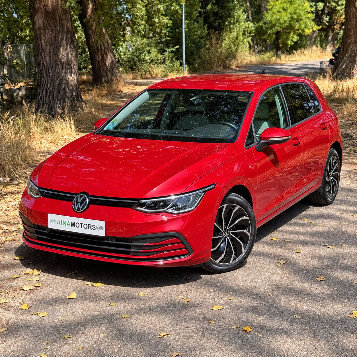 Volkswagen Golf Life 2.0Tdi 116Cv - Imagen 9