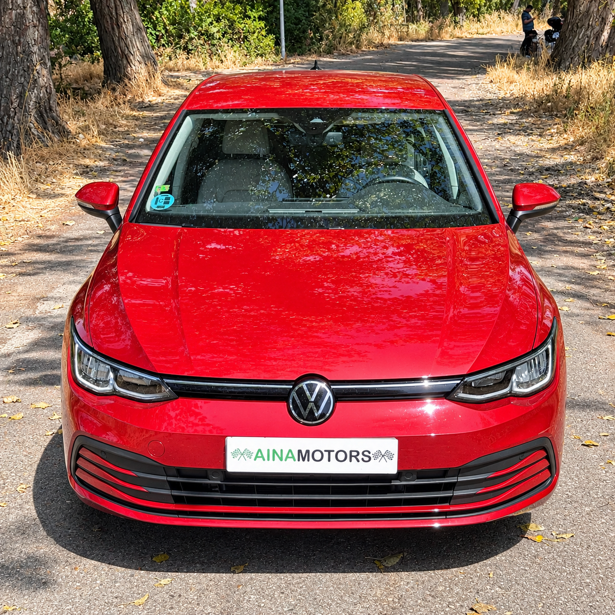 Volkswagen Golf Life 2.0Tdi 116Cv - Imagen 25