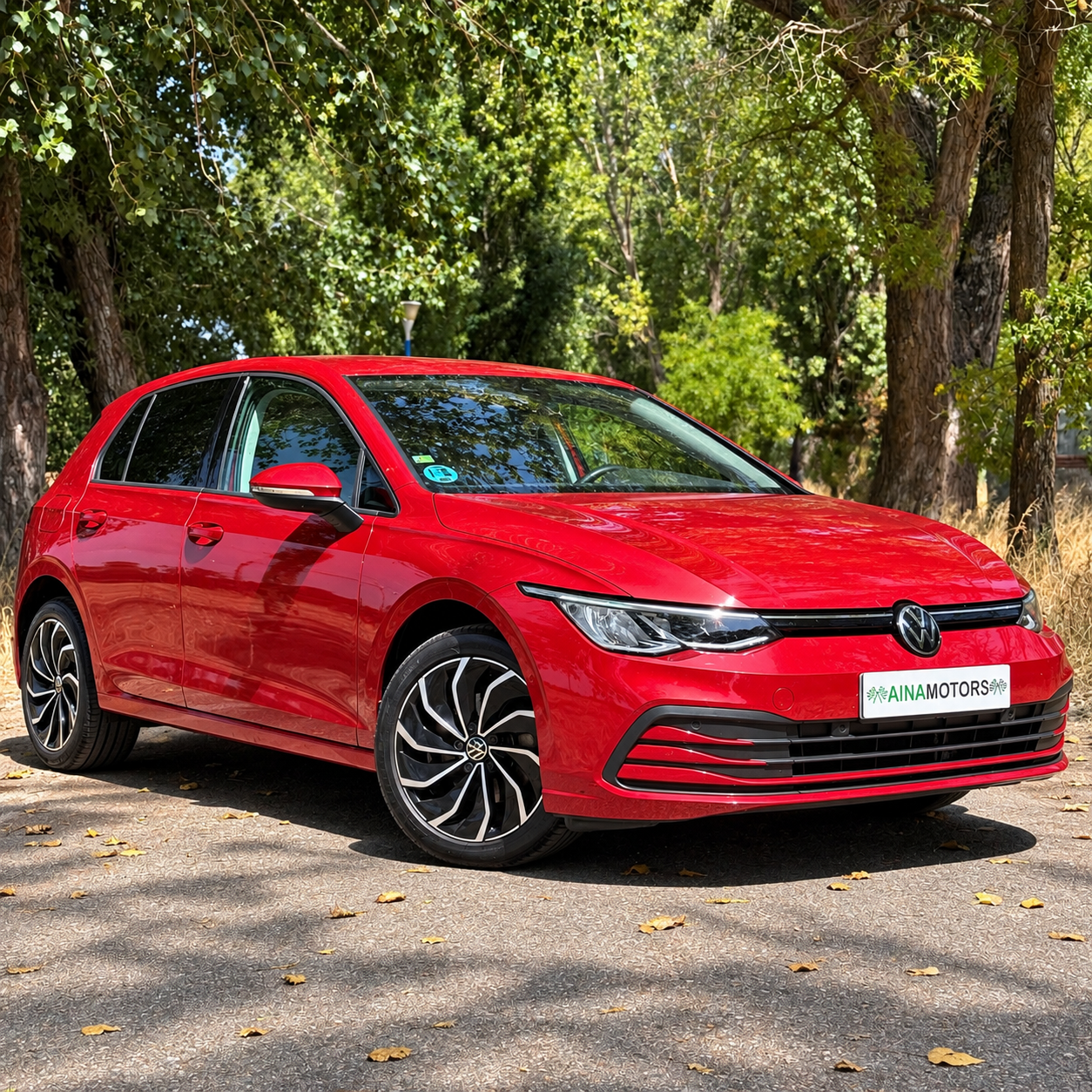 Volkswagen Golf Life 2.0Tdi 116Cv - Imagen 17