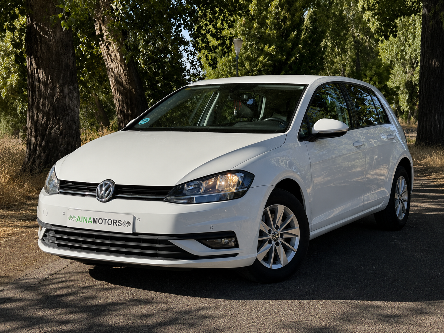Volkswagen Golf Last Edition 1.6 Tdi 115Cv - Imagen 9