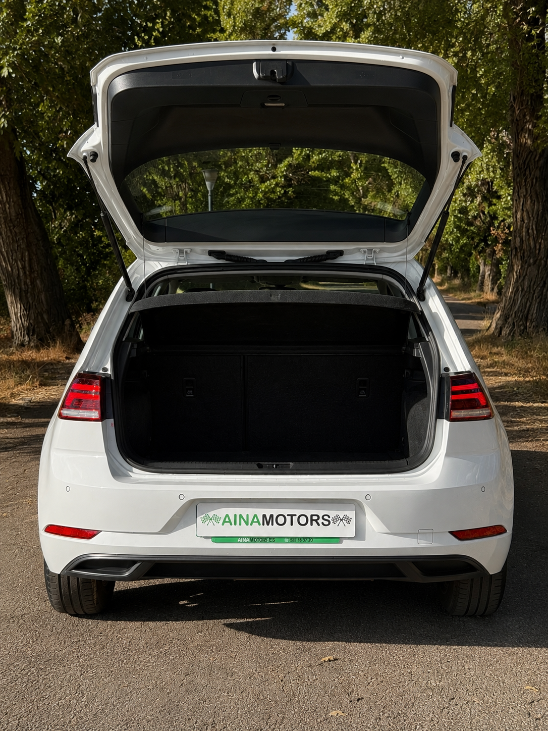 Volkswagen Golf Last Edition 1.6 Tdi 115Cv - Imagen 12
