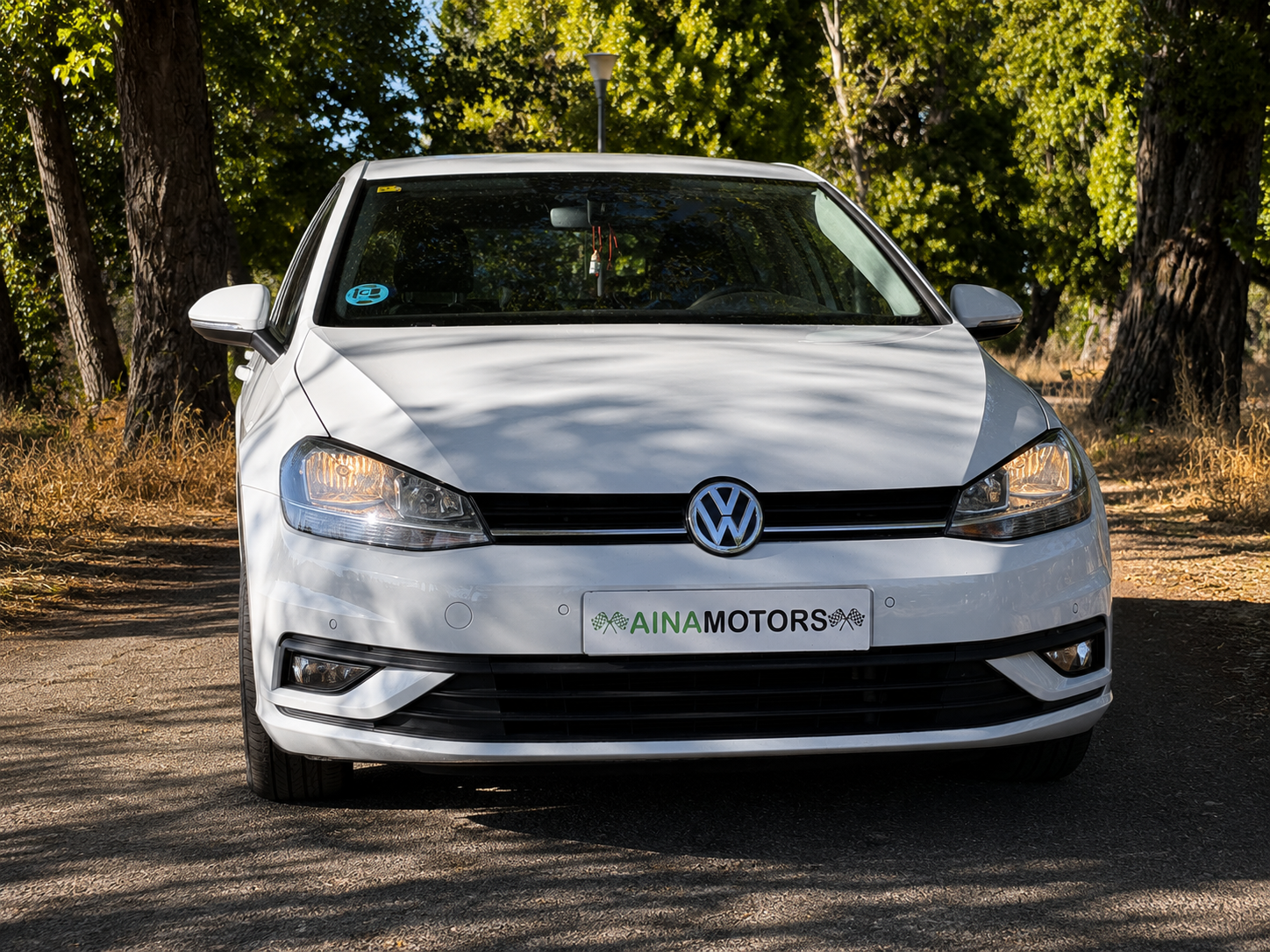 Volkswagen Golf Last Edition 1.6 Tdi 115Cv - Imagen 11