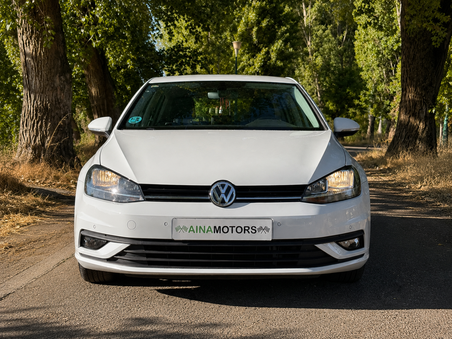 Volkswagen Golf Last Edition 1.6 Tdi 115Cv - Imagen 3