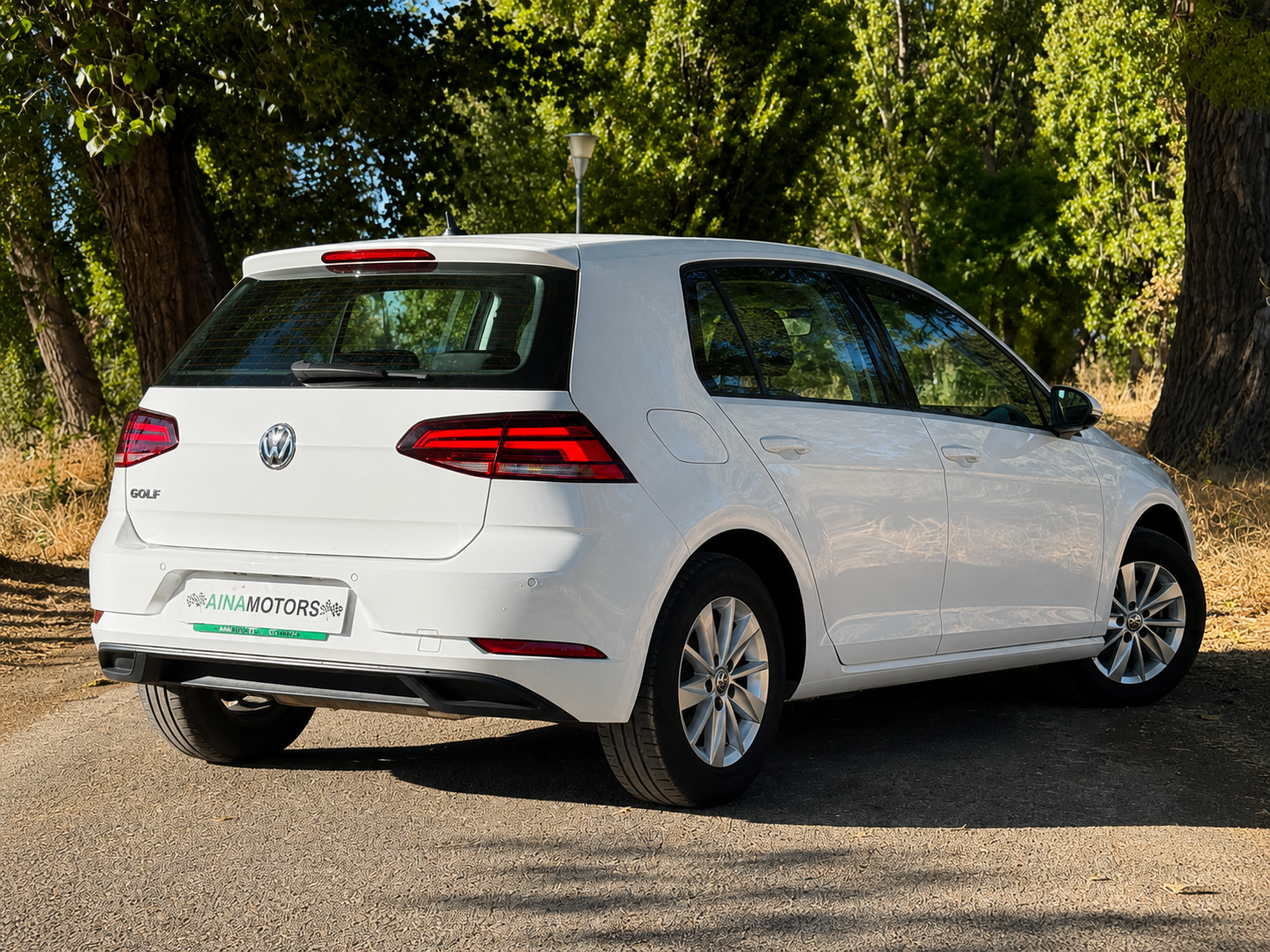 Volkswagen Golf Last Edition 1.6 Tdi 115Cv - Imagen 10