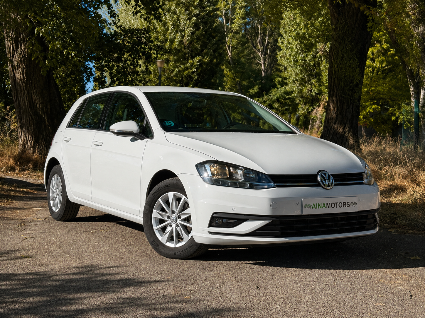 Volkswagen Golf Last Edition 1.6 Tdi 115Cv